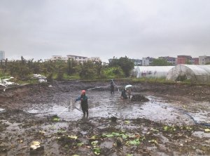 昌黎河道鱼塘清淤